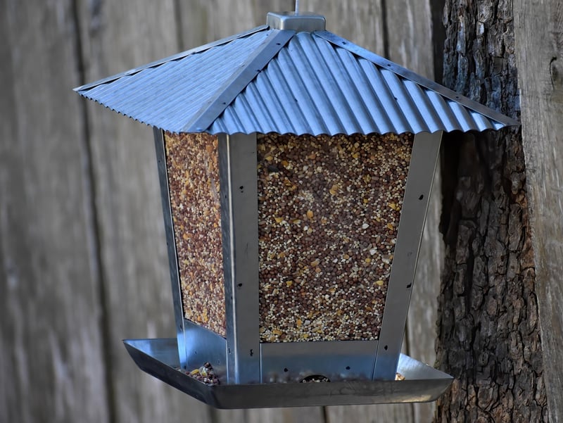 Recycled Bird Feeder