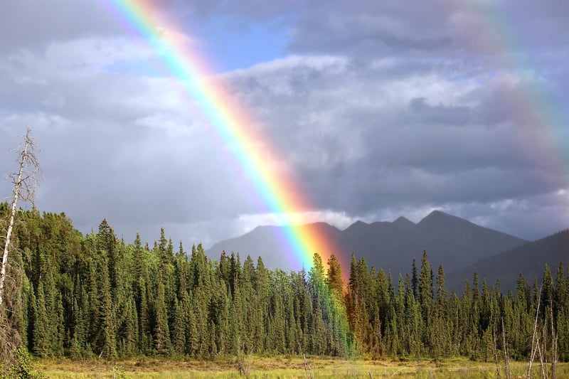 Rainbow Paper Experiment